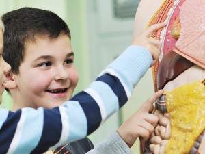 Çocuklara İnsan Vücudu Nasıl Anlatılır? Evde Eğlenceli ve Etkili Öğrenme Yöntemleri