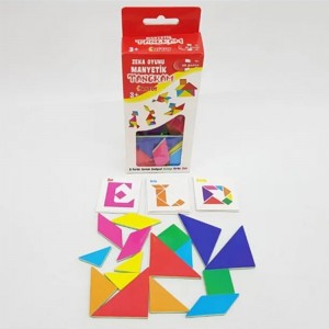 DıyToy Manyetik Tangram – Zeka ve Yaratıcılık Seti DıyToy Manyetik Tangram – Zeka ve Yaratıcılık Seti