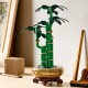 LEGO Botanicals Şans Bambusu 10344 Dekoratif Bitki Yapım Seti